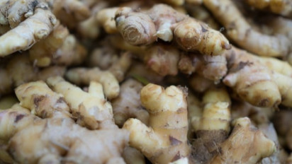 Mulai dari Bawang Putih sampai Jahe, Ini Dia 6 Bahan Alami yang Bantu Turunkan Kolesterol