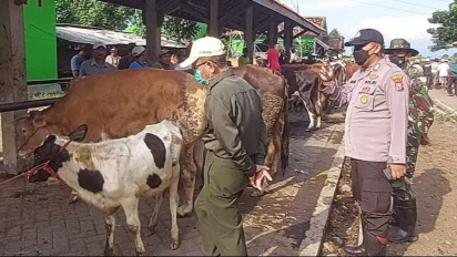 Antisipasi PMK Meluas, Petugas Pantau Aktivitas Pasar Sapi Wonoasih di Kota Probolinggo