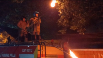 Bahayakan Warga, Petugas Damkar Musnahkan Sarang Tawon Vespa Berukuran Besar di Kebumen