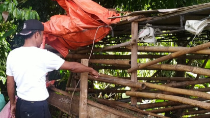 Tega! Kambing Untuk Syukuran Mushola Dicuri & Disembelih, Hanya Jeroan Yang Tersisa