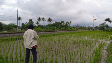 Viral! Video Aksi Tawuran Siswa SMP di Rel KA Sukabumi
