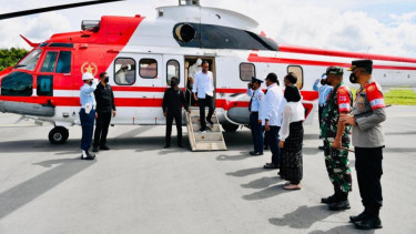 Lanjut Kunker di NTT, Presiden Jokowi Tinjau Panen Sorgum di Sumba Timur