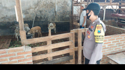 PMK Merebak di Banyuwangi, Polisi Awasi Lalu Lintas Ternak
