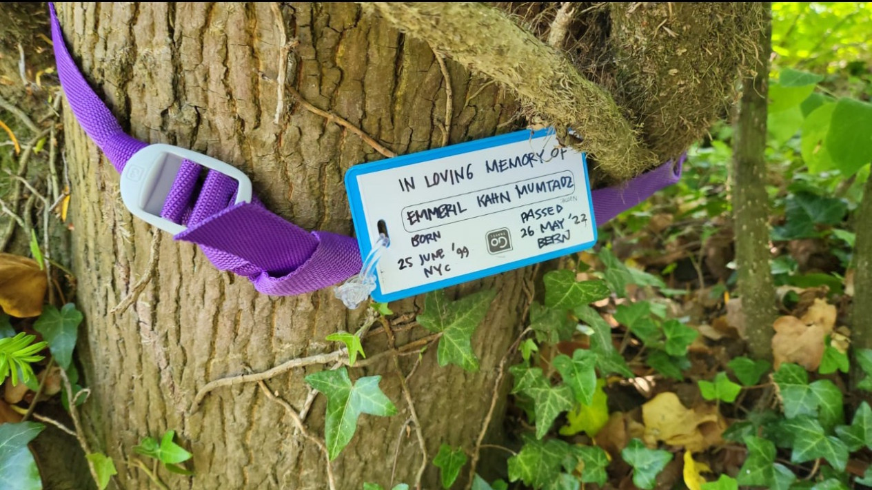 Eril Anak Ridwan Kamil Masuk Kriteria Syahid: Jalankan Olahraga Sunnah Berenang hingga Hanyut di Sungai Aare
            - galeri foto