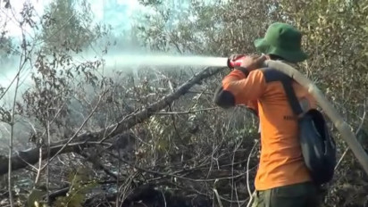 Kebakaran Lahan Gambut di Dumai Memasuki Tahap Pendinginan