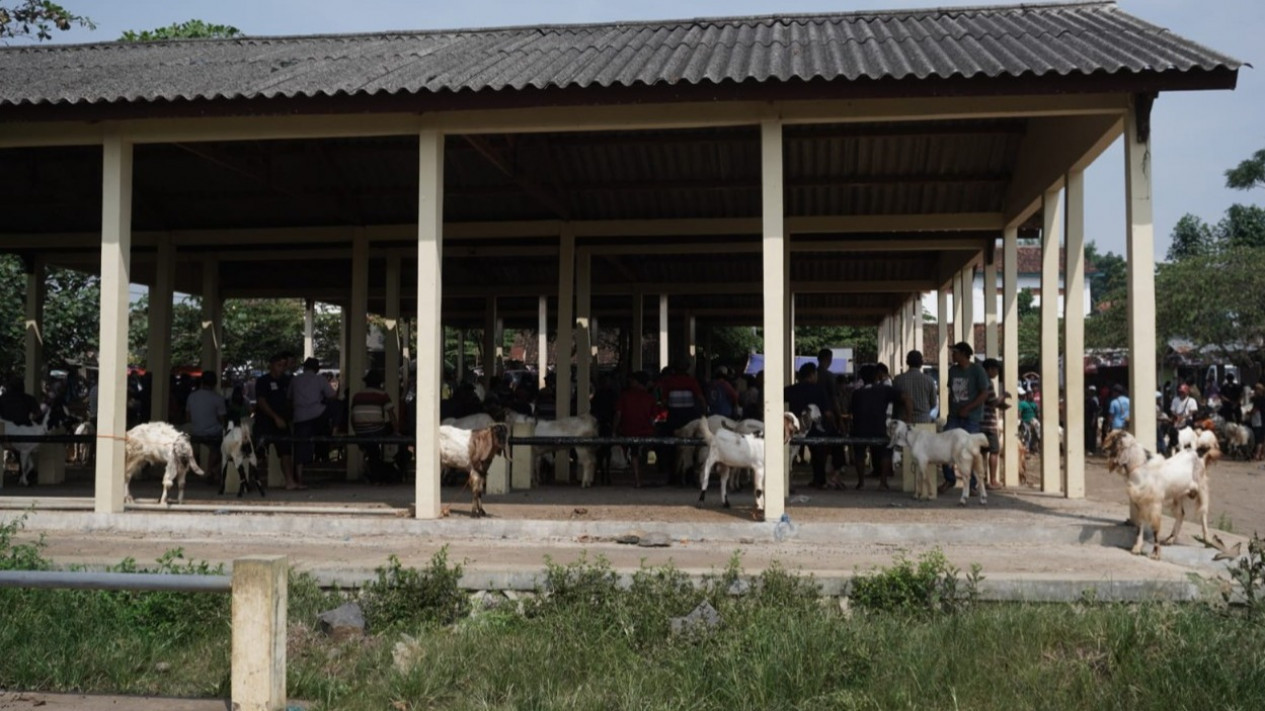 3 Pasar Hewan di Batang Kembali Dibuka
            - galeri foto