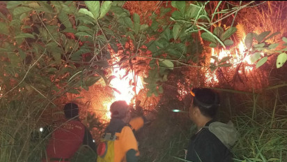 Polisi Bersama Manggala Agni Padamkan Kebakaran Hutan dan Lahan di Paluta