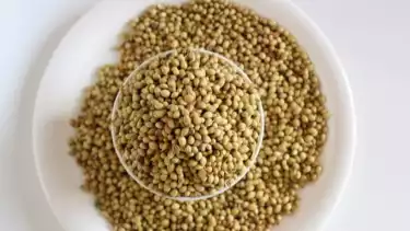 Ketumbar Sebagai Salah Satu Bahan yang Membantu Menurunkan Kolesterol