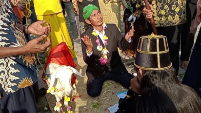 Geger Pria Menikah dengan Kambing di Gresik, Ternyata Cuma Buat Konten TikTok
