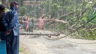 Akibat Hujan Deras, Daerah Jampang Tengah Sukabumi Dikepung Banjir, Longsor Hingga Pohon Tumbang