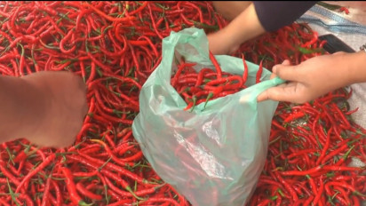 Harga Cabai di Asahan Semakin “Pedas”, Pedagang dan Pembeli Mengeluh