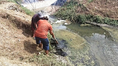 Pupuk Bersubsidi Dibatasi, Petani di Cianjur Manfaatkan Limbah Tambak Udang Sebagai Pupuk Pengganti