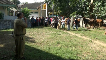 Sebaran PMK Makin Meluas, Seluruh Pasar Hewan di Pacitan Ditutup