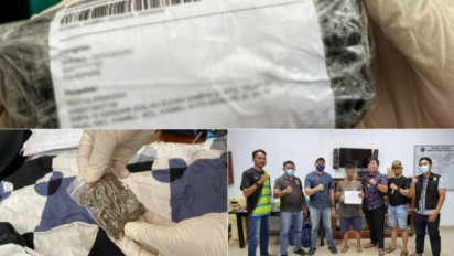 Gawat, Ganja Kering Lolos Via Ekpedisi, Pria Diringkus Petugas Bea Cukai Kendari