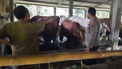 Ribuan Ekor Sapi Terindikasi PMK, Peternak Jateng Diminta Jualan Online