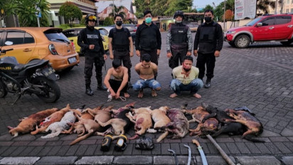 Polres Manado Ungkap Pencurian 12 Ekor Anjing, Pelaku Pakai Racun dan Sajam untuk Bunuh Anjing