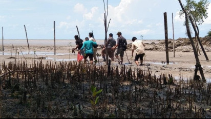 Dit Krimsus Polda Babel Usut Pengadaan Bibit Mangrove Diduga Fiktif Senilai Rp 70 Miliar