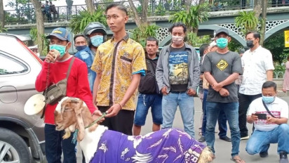 Ketua BK DPRD Gresik Diduga Terlibat Kasus Manusia Menikah dengan Kambing.Pimpinan Dewan Siap Tangani Kasusnya