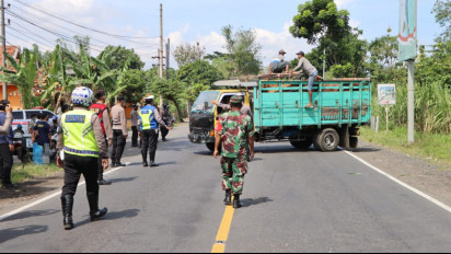 Cegah Penularan PMK di Probolinggo, Dua Truk Muatan Sapi dari Luar Daerah Dihadang Polisi