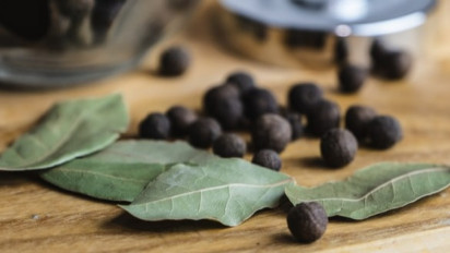 Tak Hanya Bantu Turunkan Kolesterol, Daum Salam Ternyata Juga Berkhasiat untuk Hal Ini, Cara Mengolahnya Gampang!