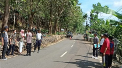 Berkeliaran di Jalur Wisata Pantai, Kera Liar Picu Kecelakaan Lalu Lintas