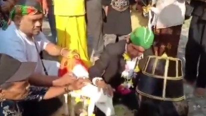 6 Perkawinan Tak Masuk Akal Sehat, Manusia Kawin dengan Binatang, Ada yang Kawin dengan Anjing hingga Kuda Betina