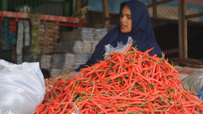 Harga Cabai Merah Tembus Rp80 Ribu per Kg di Blangpidie