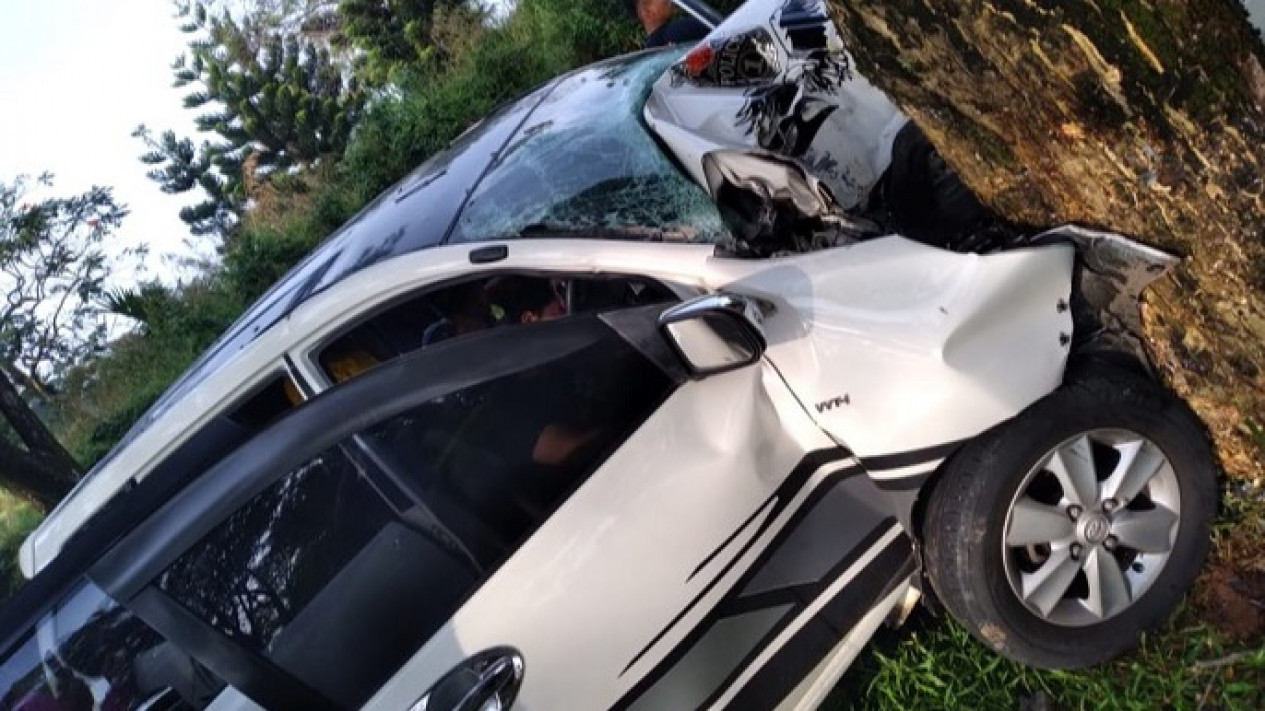 Mobil Tabrak Pohon di Jalan Alternatif Bukit Pelangi Bogor, 1 Penumpang Meninggal
            - galeri foto