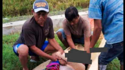 Terkejut Dengar Kerasnya Petir di Sawah, Seorang Wanita Tewas, Diduga Terkena Serangan Jantung