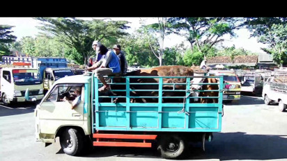 Suspek Baru PMK di Gunung Kidul Bertambah Pascadibukanya Kembali Pasar Hewan