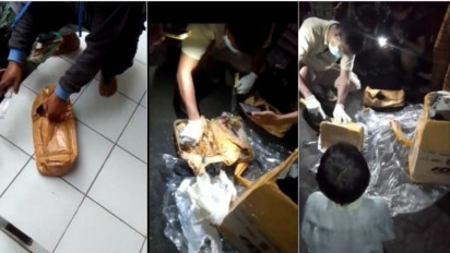 Kekasih NM Hanya Mengakui 4 Janin Sementara 3 Janin Masih Misteri