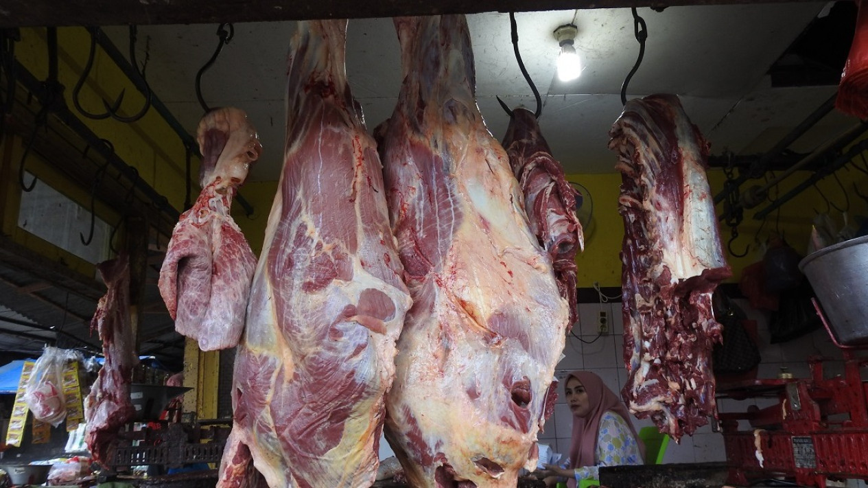 Dampak PMK, Lapak Penjual Daging di Pasar Lumajang Sepi Pembeli
            - galeri foto