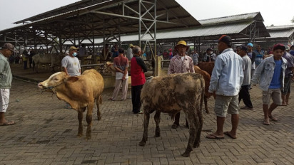 Imbas PMK, Transaksi di Pasar Hewan Siyono Gunung Kidul Anjlok