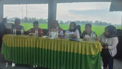 Sumatera Utara Masuk Sepuluh Besar Daerah Penghasil Beras di Indonesia