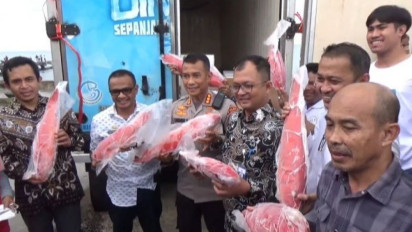 Setelah Mangkrak 2 Tahun Gudang Beku di PPI Beba Kabupaten Takalar Kembali Aktif dan Siap Ekspor Ikan