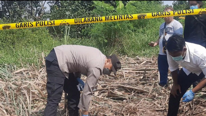 Kerangka Manusia Ditemukan di Kebun Tebu, Diduga Meninggal 3 Bulan Lalu