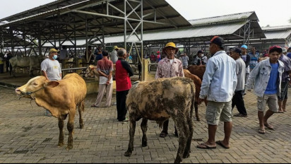 Urus Surat Keterangan Kesehatan Hewan Rumit, Ini Penjelasan DPKH Gunungkidul