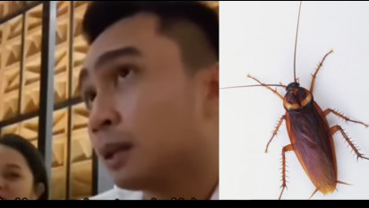 Viral! Pria Ini Labrak Pemilik Restoran Ternama Setelah Temukan Kecoa di Makanannya, Sudah Makan Separuh, Istrinya yang Hamil Muntah-Muntah