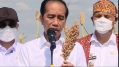 Hadapi Krisis Pangan, Strategi Presiden Perkuat Ketahanan Pangan Daerah