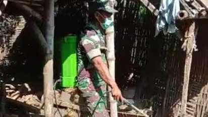 Cegah PMK, Kandang Sapi di Tongas Probolinggo Disemprot Disinfektan