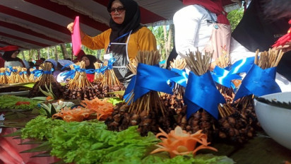Gegara Sate Gurita, Kabupaten Kaur Pecahkan Rekor Dunia