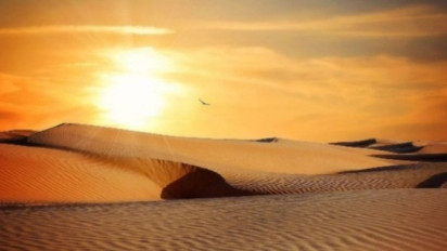 Bulan Dzulhijjah Saatnya Berkurban, Hari Raya Idul Adha Berawal dari Perintah Allah SWT Kepada Nabi Ibrahim Untuk Menyembelih Nabi Ismail