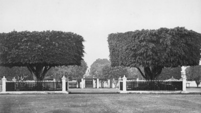 Mengenal 'Masangin', Mitos Melewati Beringin Kembar Alun-Alun Jogja dengan Mata Tertutup