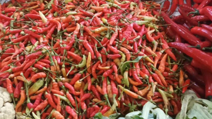 Cabai Rawit Tembus Rp120 Ribu per Kilogram, Omzet Pedagang Turun Drastis di Pasar Kronong Probolinggo