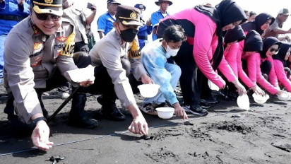 Rawan Punah, Polisi Lepasliarkan Tukik Spesies Langka di Selat Bali