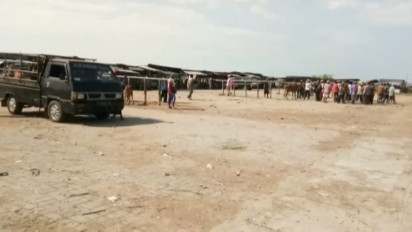 Dampak PMK, Jelang Idul Adha Pasar Hewan Sepi Penjual dan Pembeli