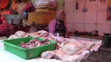 PMK Meluas, Pedagang Ayam Potong Raup Untung di Pasar Baru Kota Probolinggo