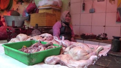 PMK Meluas, Pedagang Ayam Potong Raup Untung di Pasar Baru Kota Probolinggo