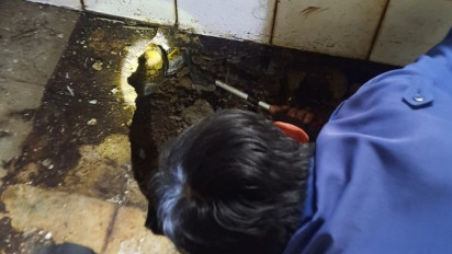 Warga Sukabumi Dihebohkan dengan Kemunculan Ular Sanca di Toilet