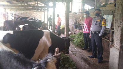 PMK Meningkat, Pemkab Semarang Imbau Hewan Kurban Tidak Dipasok dari Luar Kota